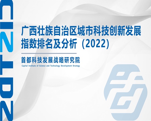 靠逼视频直接看【成果发布】广西壮族自治区城市科技创新发展指数排名及分析（2022）